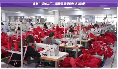 家紡牛奶絨工廠,揭秘貨源渠道與進貨流程